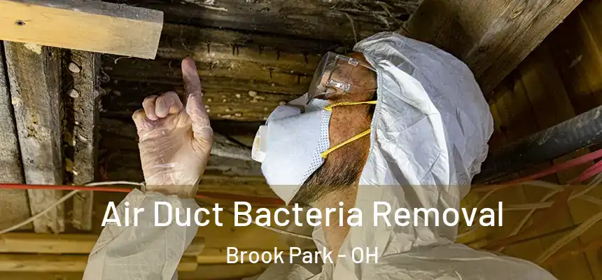  Air Duct Bacteria Removal Brook Park - OH