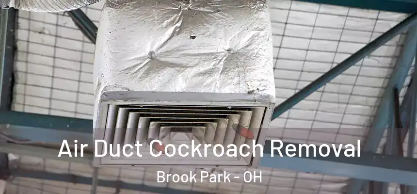  Air Duct Cockroach Removal Brook Park - OH