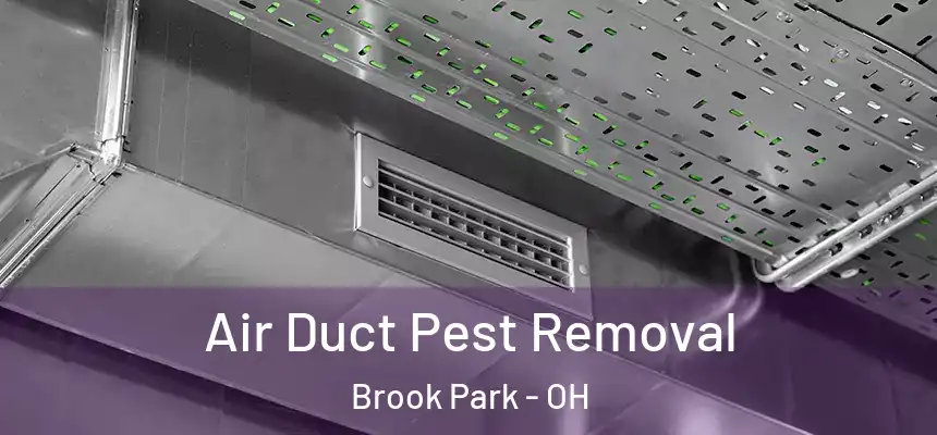  Air Duct Pest Removal Brook Park - OH