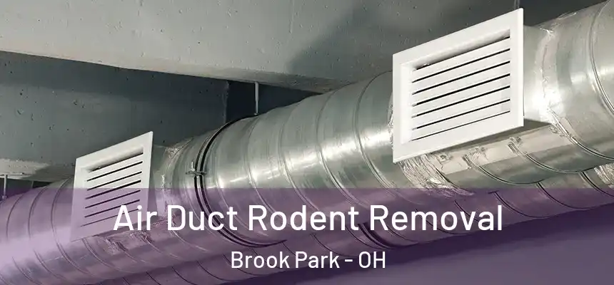  Air Duct Rodent Removal Brook Park - OH