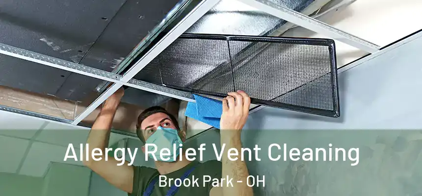  Allergy Relief Vent Cleaning Brook Park - OH