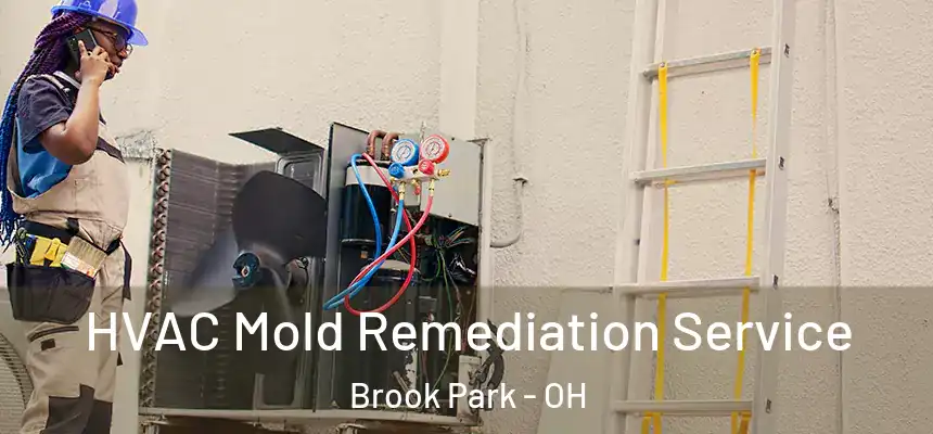  HVAC Mold Remediation Service Brook Park - OH