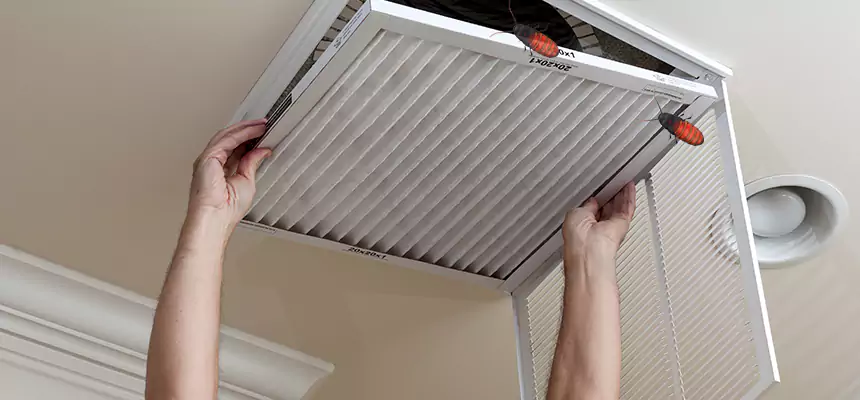 Preventive Cockroach-Proofing for Ducts in Brook Park