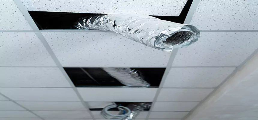 Affordable HVAC Sanitizing After Pest Removal in Brook Park