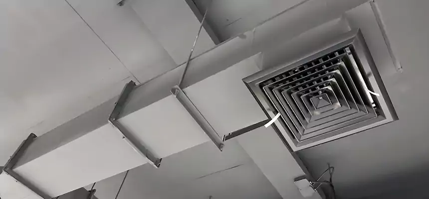 Our Rodent Droppings In Vents Services in Brook Park, OH