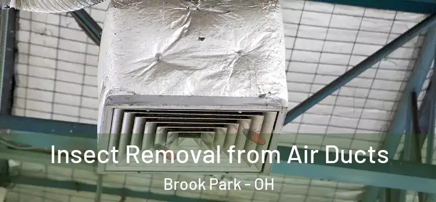  Insect Removal from Air Ducts Brook Park - OH
