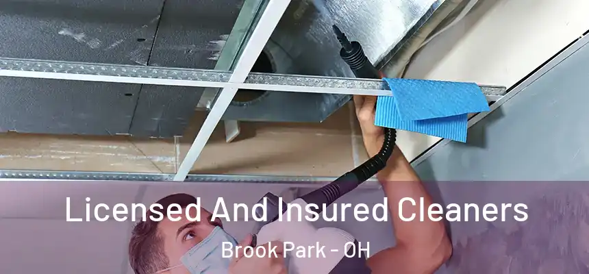  Licensed And Insured Cleaners Brook Park - OH