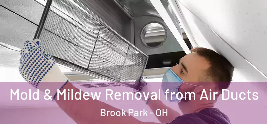  Mold & Mildew Removal from Air Ducts Brook Park - OH