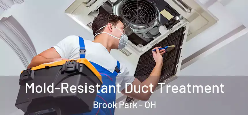  Mold-Resistant Duct Treatment Brook Park - OH