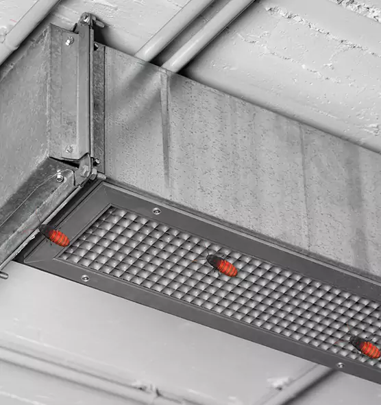 About Air Duct Cockroach Removal in Brook Park, OH
