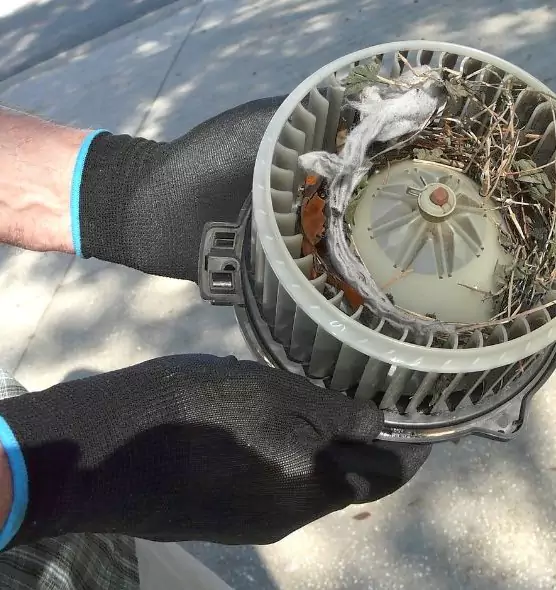 About Air Duct Rat Removal in Brook Park, OH