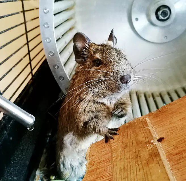 Why Homeowners & Businesses Trust Us Brook Park, OH?